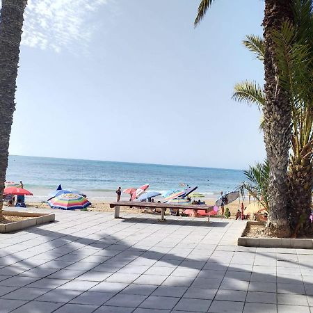 Estudio Comodo En Torrevieja Eksteriør billede