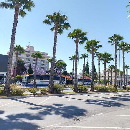 Estudio Comodo En Torrevieja Eksteriør billede