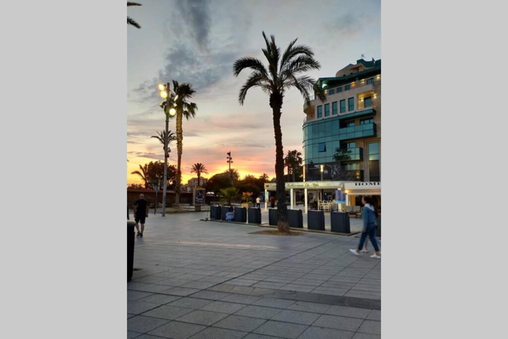 Estudio Comodo En Torrevieja Eksteriør billede