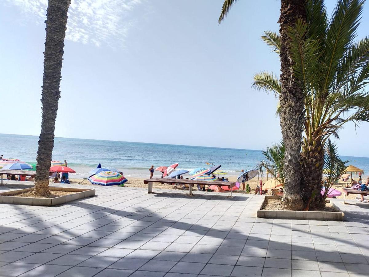 Estudio Comodo En Torrevieja Eksteriør billede