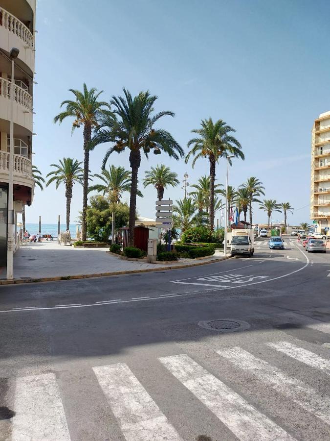 Estudio Comodo En Torrevieja Eksteriør billede