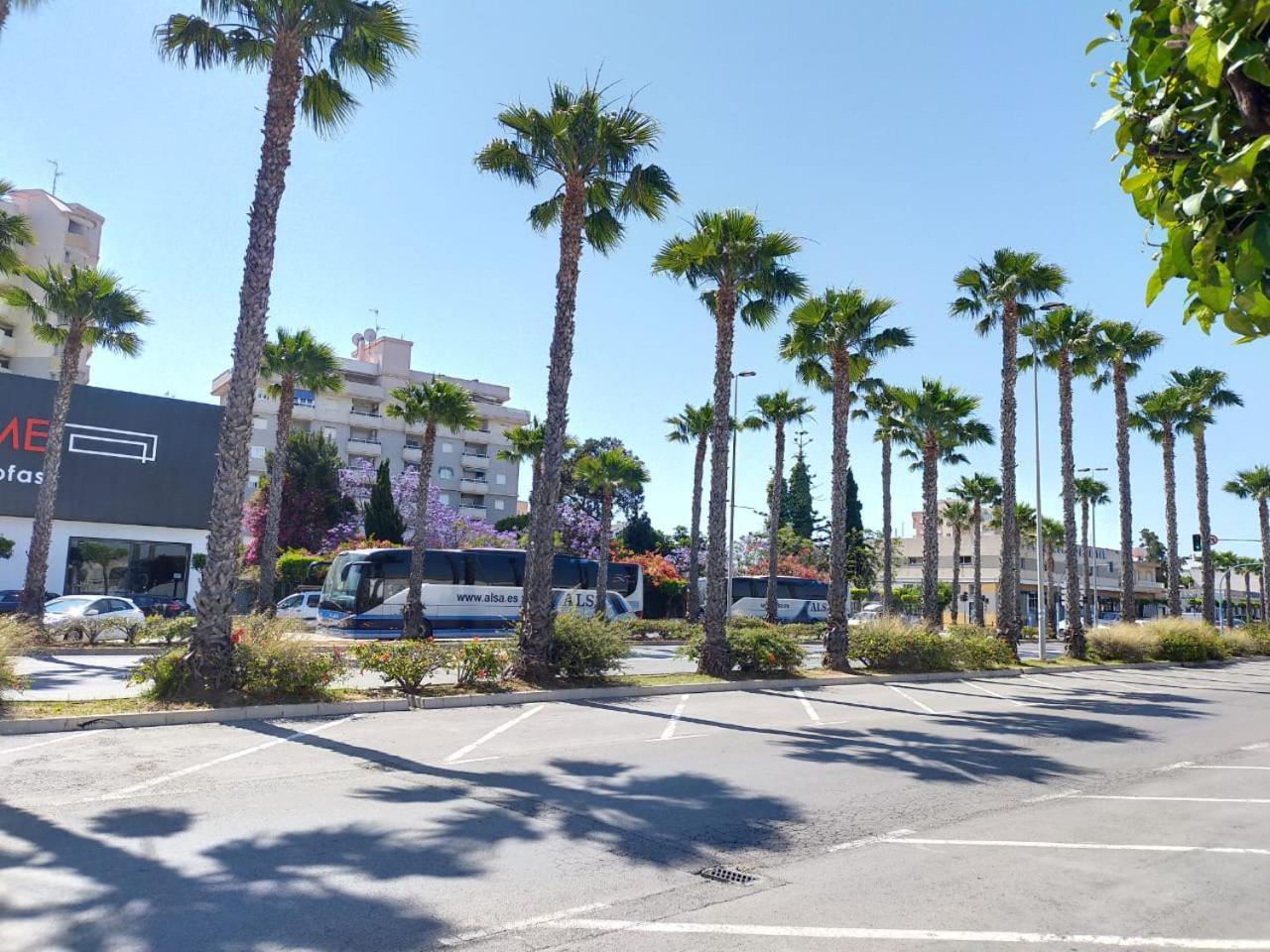 Estudio Comodo En Torrevieja Eksteriør billede